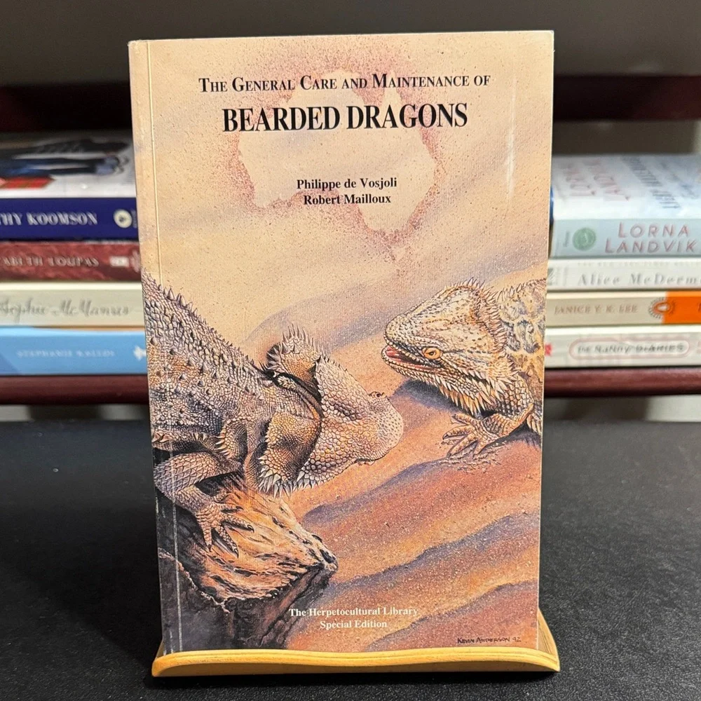 Bearded Dragons Care Guide - Brown